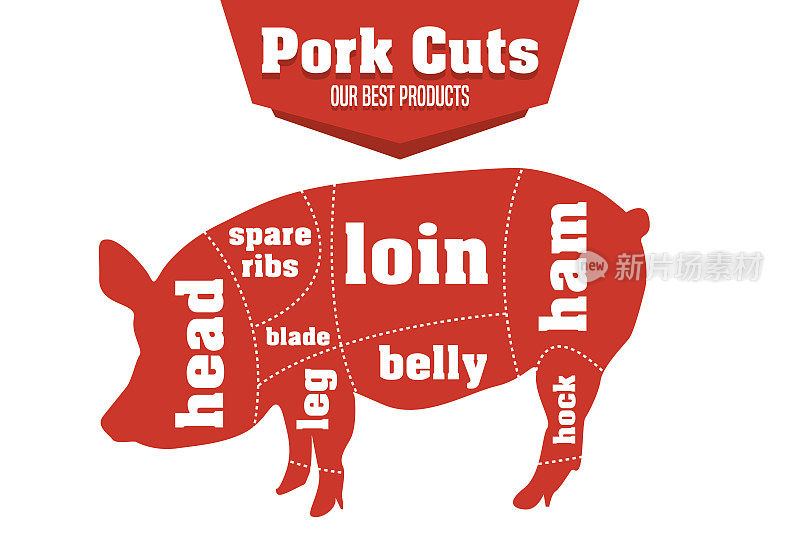 猪肉切块信息图表集肉部分，矢量