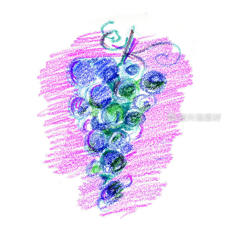 一串葡萄酒葡萄概念彩色铅笔图像。草图风格手绘图像。光栅插图。
