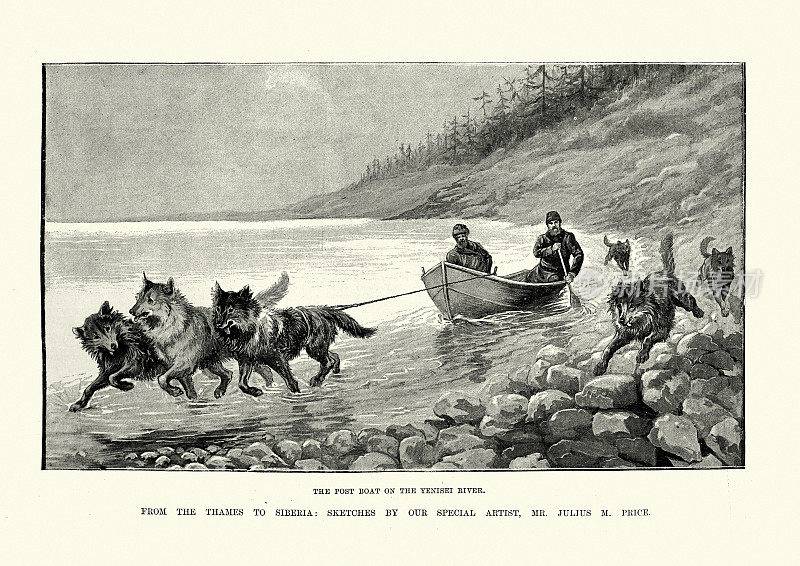 19世纪90年代，俄罗斯叶尼塞河上，狗队拉着船