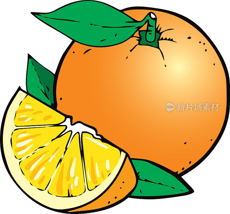 整个橙子和一片橙子。矢量图