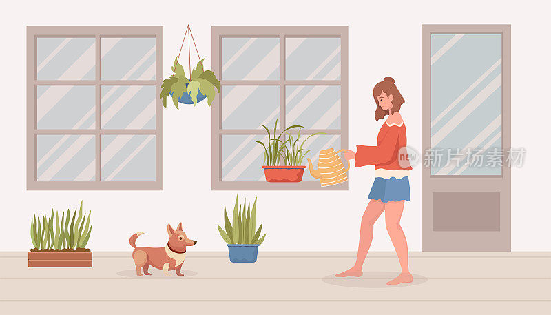 在阳台或房间里给室内植物浇水的女人。现代室内矢量平面卡通插图。