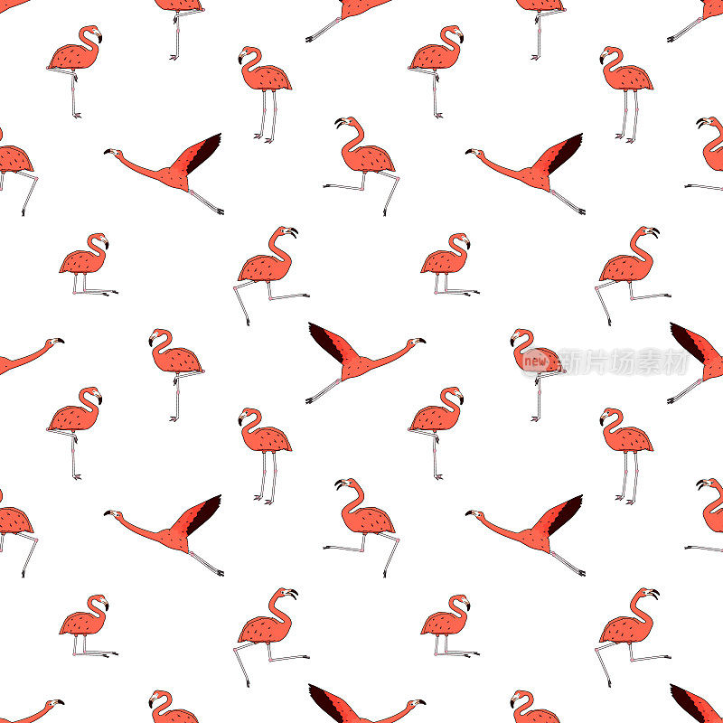 火烈鸟是活跃的、跳舞的、飞翔的、睡觉的、休息的、放松的、做梦的、行走的。轮廓卡通桃红色动物孤立在白色的背景。