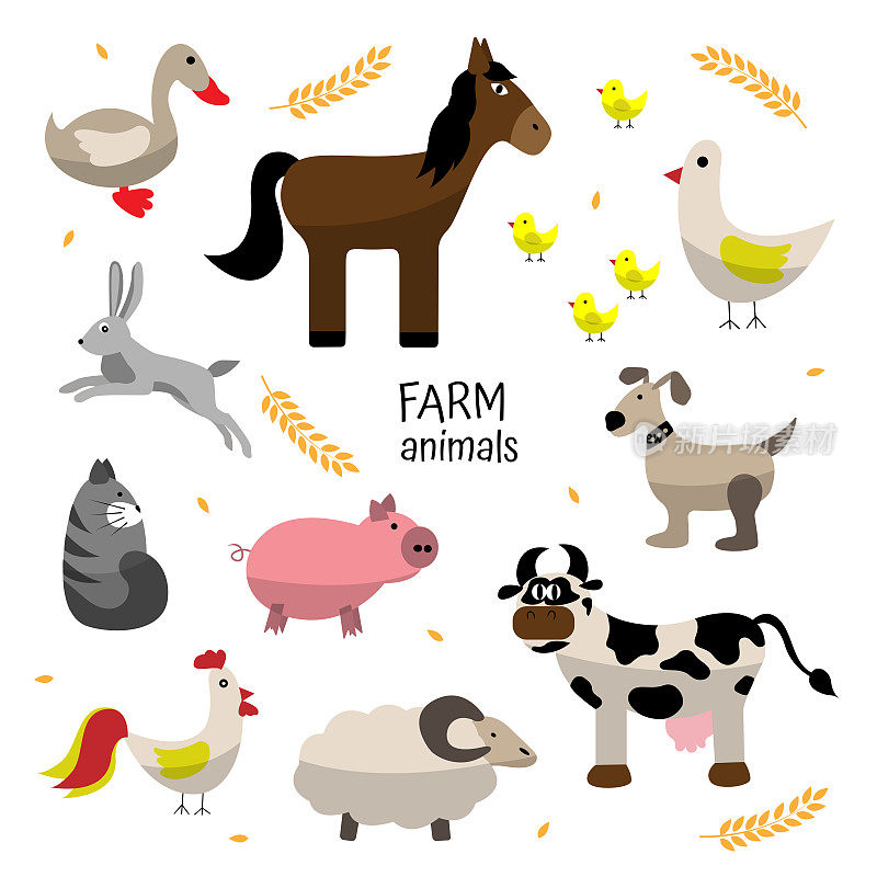 农场动物。马，猪，鸡，公鸡，兔子，牛，羊，猫，鹅，狗。