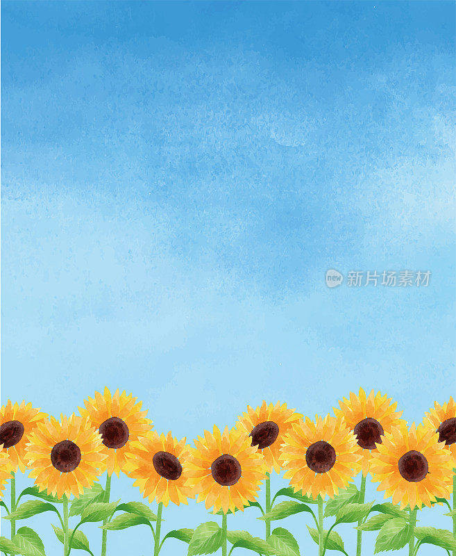 向日葵插图背景蓝色的天空