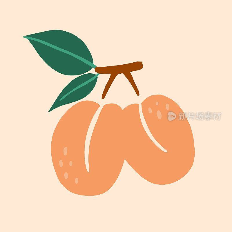 杏分支。异国情调的热带桃子或杏子新鲜水果，树上全是多汁的桃子。矢量卡通极简主义风格孤立的插图。印刷或横幅，标签或海报，不干胶