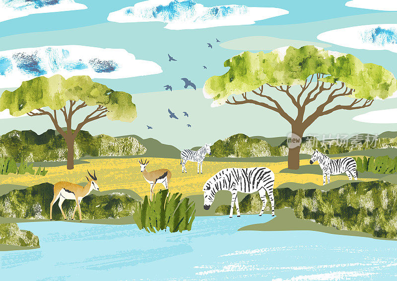 非洲景观。斑马和羚羊聚集在一个水坑周围。自然矢量插图与动物，鸟类，树木和云。自然插画为旅游，狩猎和动物园