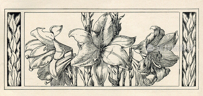 花卉装饰与百合装饰艺术新1896年