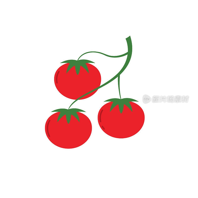 番茄农业图标在平坦的颜色上透明的背景