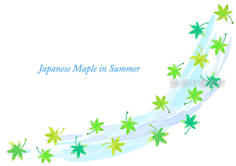 夏日碧绿的日本枫树与流水意象水彩线条相框