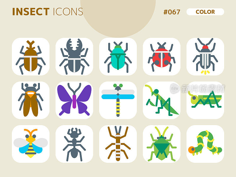 与昆虫有关的颜色样式图标集