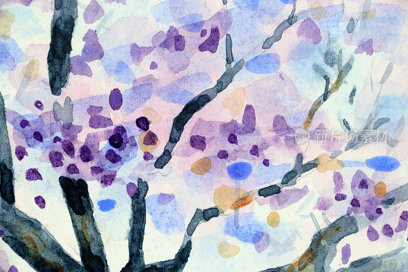 树枝和花朵蓝花楹树水彩画细节
