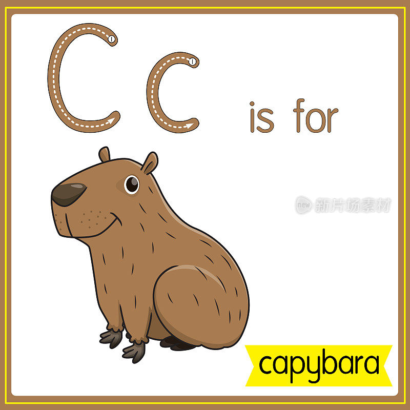 矢量插图学习字母为儿童与卡通形象。字母C代表水豚。