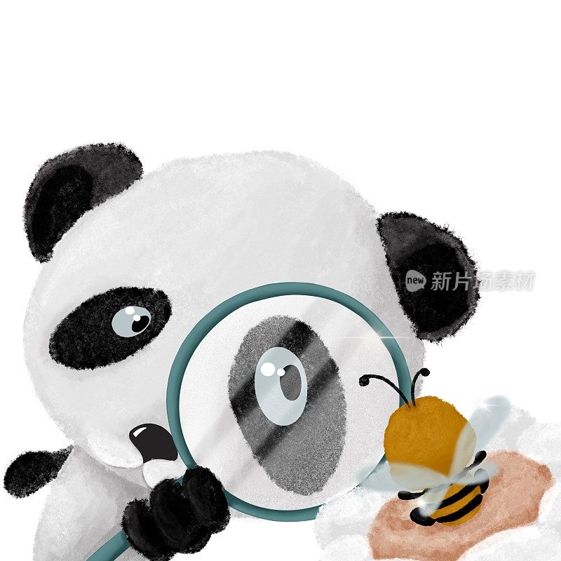 好奇的熊猫用放大镜观察甘菊上的蜜蜂。可爱的卡通动物和学校用品。回到学校
