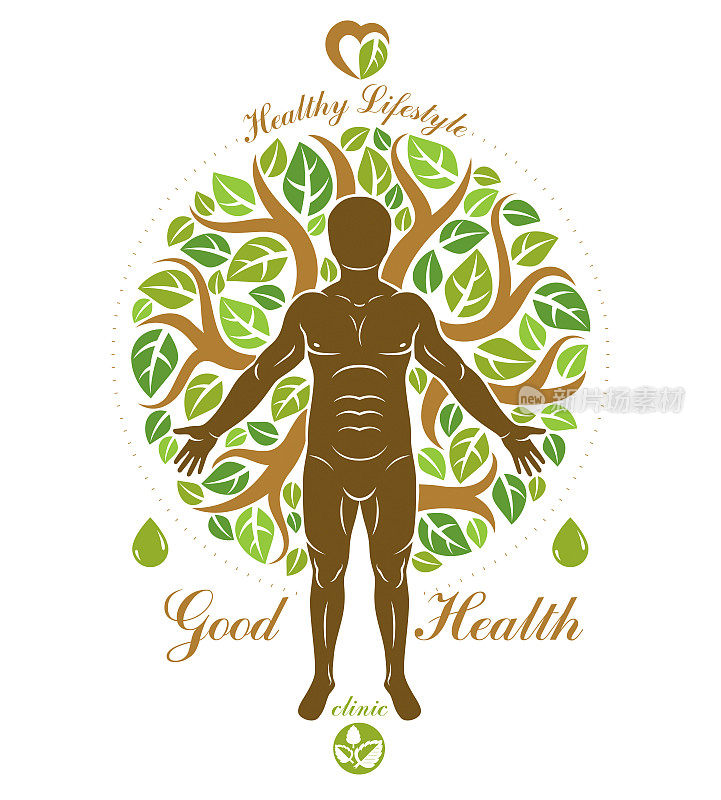 运动的人创造作为绿色树的延续的矢量插图。恢复健康，顺势疗法的想法。