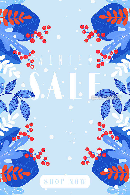 冬季销售横幅，雪花，植物，树叶，小树枝蓝色背景，蓝色，蓝色，红色，白色