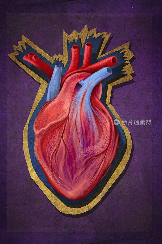 创意拼贴解剖心脏