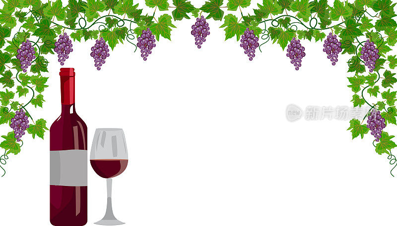 葡萄藤和葡萄酒瓶与酒杯