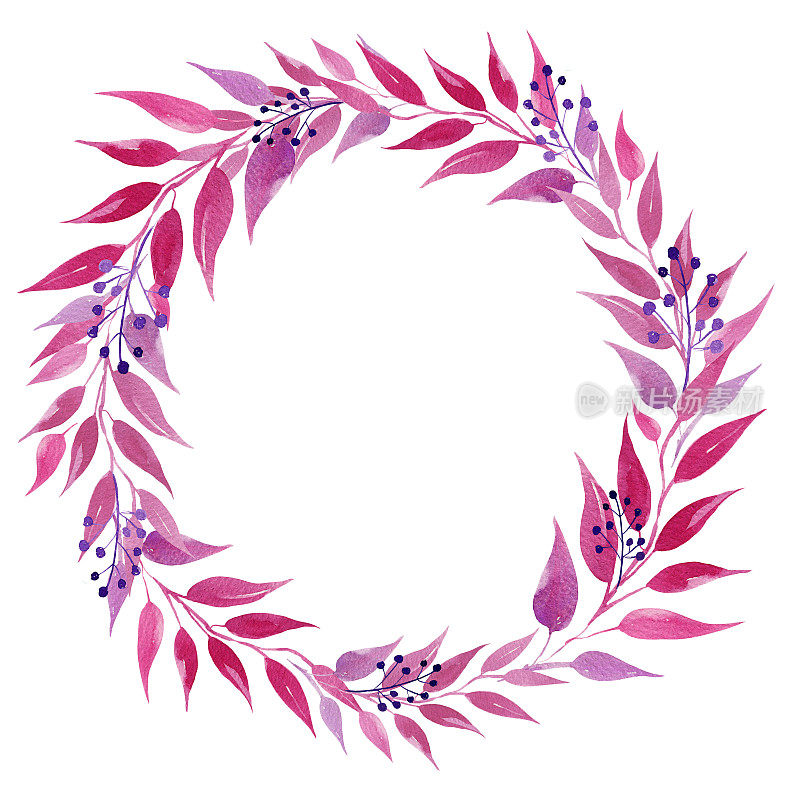 水彩花环与粉红色和品红叶，插图，素描，玫瑰色，紫色的草药点缀孤立在白色的背景