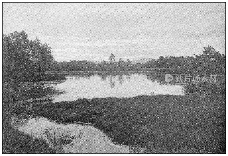 汉普顿县，马萨诸塞州的古董图像:斯普林菲尔德，五英里池塘