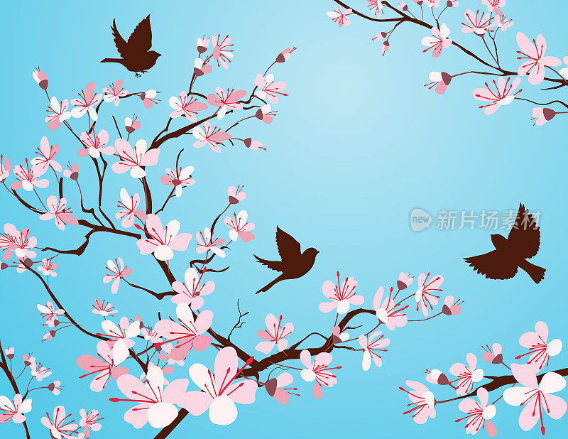 春天的樱花和小鸟在蓝天上复制空间