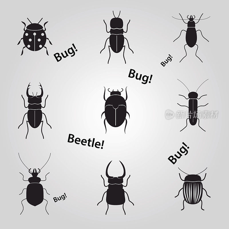 虫子和甲虫图标设置eps10