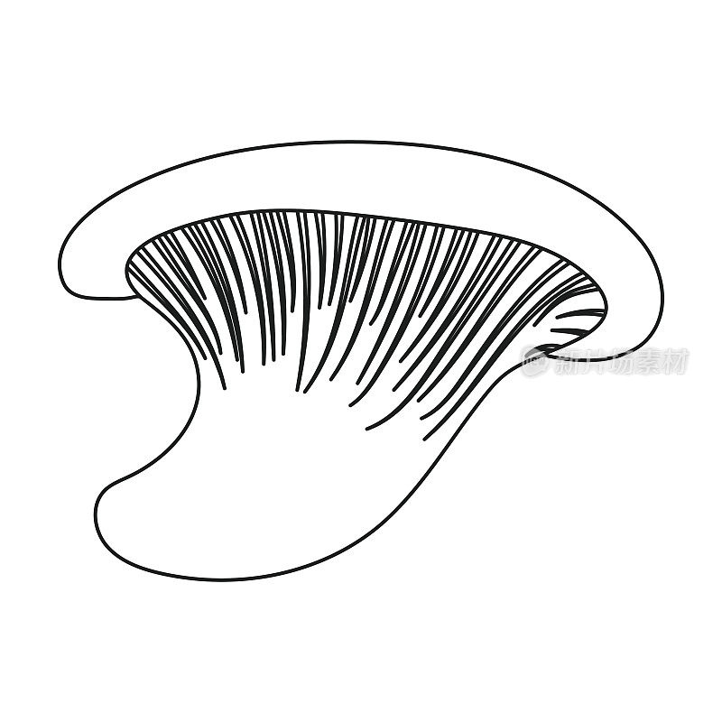 牡蛎图标在轮廓风格孤立的白色背景。蘑菇符号股票矢量插图。