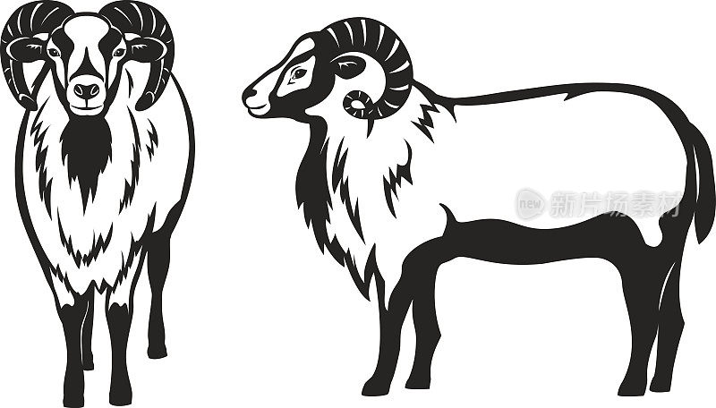 羊羊矢量图剪影，侧面和正面视图