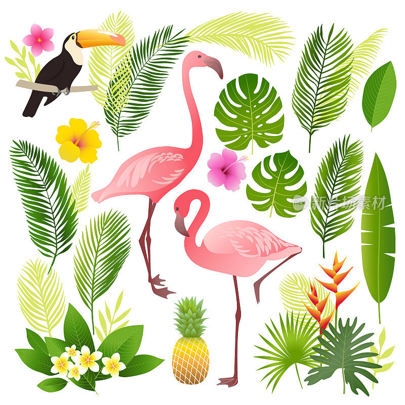 热带集。棕榈叶，热带植物，花，菠萝，火烈鸟，巨嘴鸟。