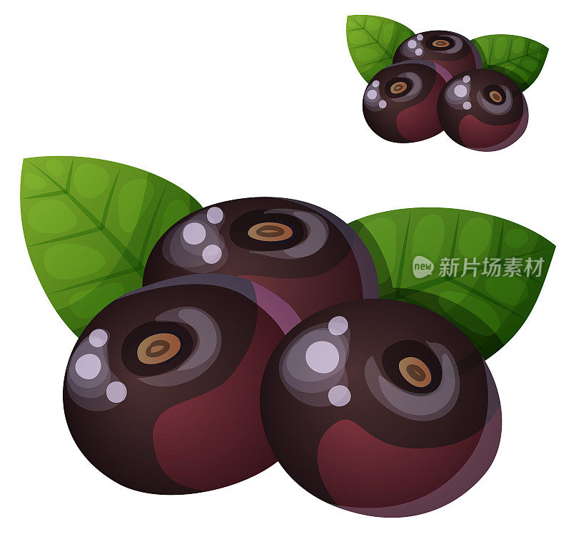 巴西莓浆果插图。卡通矢量图标