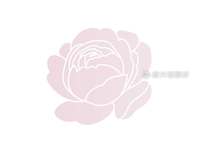 粉色玫瑰设计，简单而有风格的矢量插图