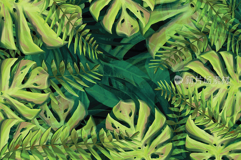热带棕榈树的3D插图