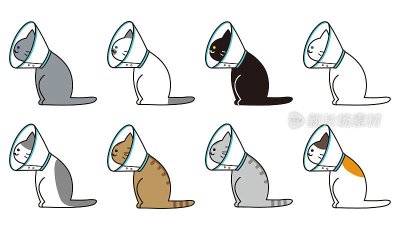 侧视图的各种猫品种与伊丽莎白衣领