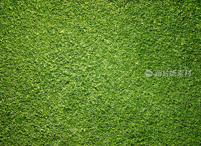 草地背景高尔夫球场绿色草坪