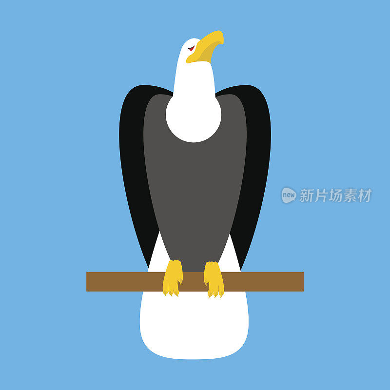 秃鹰孤立。大鸟是美国的象征