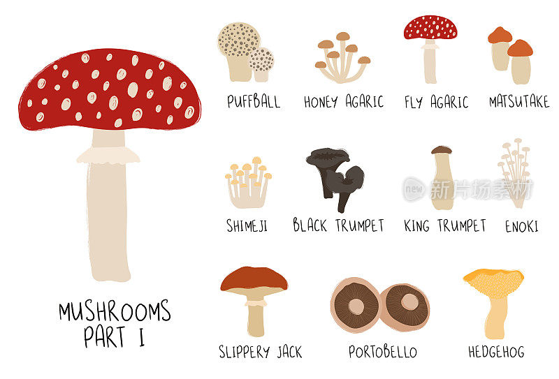 收集或彩色孤立蘑菇。