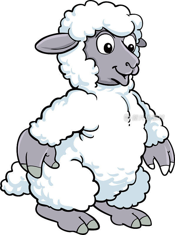 卡通绵羊。可爱的羔羊孤立在白色的背景。