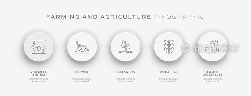农业和农业相关过程信息图模板。过程时间图。带图标的工作流布局