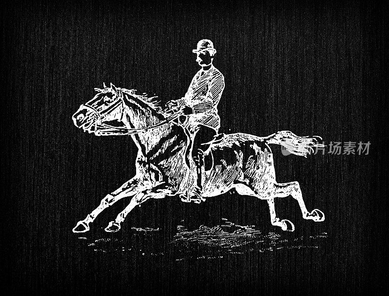 古色古香的法国版画插图:骑马