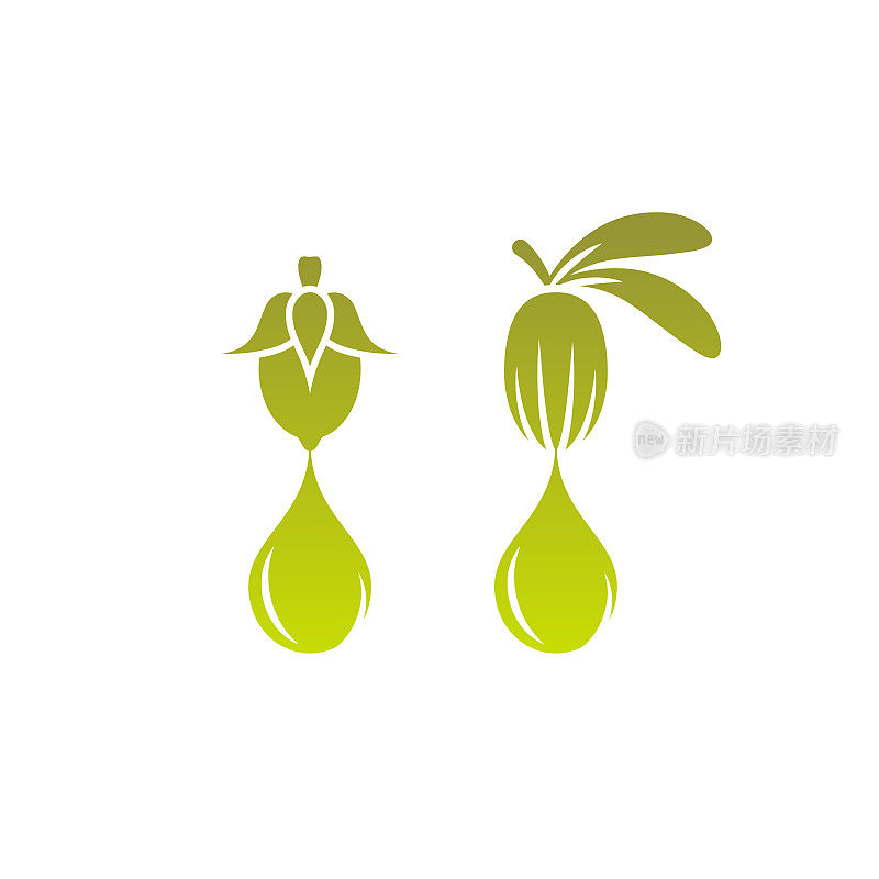 乳木果和荷荷巴果油滴绿色图标。Vitellaria美容化妆品油。