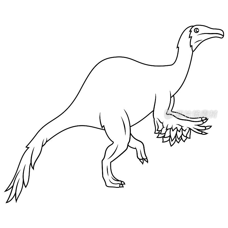 恐爪龙的手绘图