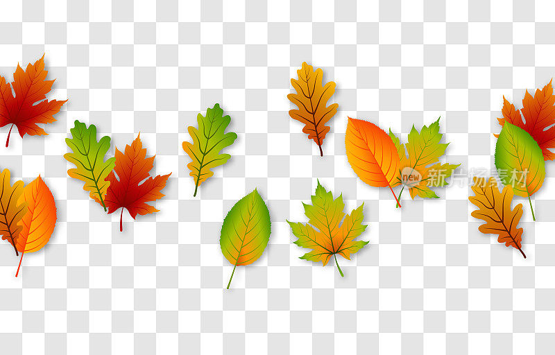 媒介叶在一个孤立的透明背景。秋天，树叶躺在地上。叶子。
