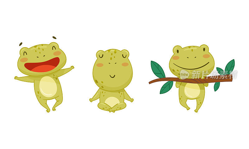 绿色有趣的青蛙人物在不同的活动设置。可爱的蟾蜍两栖动物卡通矢量插图