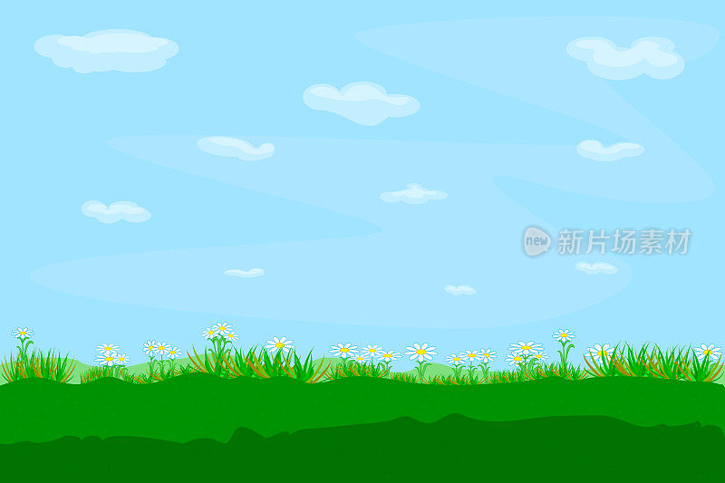 田野衬着蓝天。美丽的夏季景观，有草地，草，花和多云的天空。