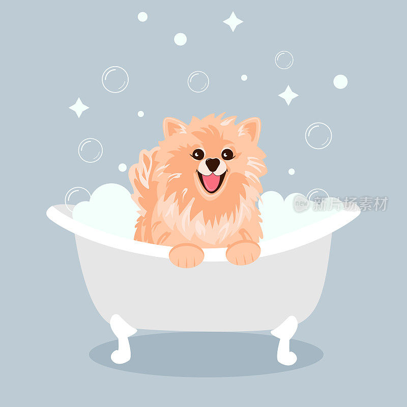 一只可爱的奶油吐槽犬坐在那里微笑着，舌头伸在一桶泡泡里。