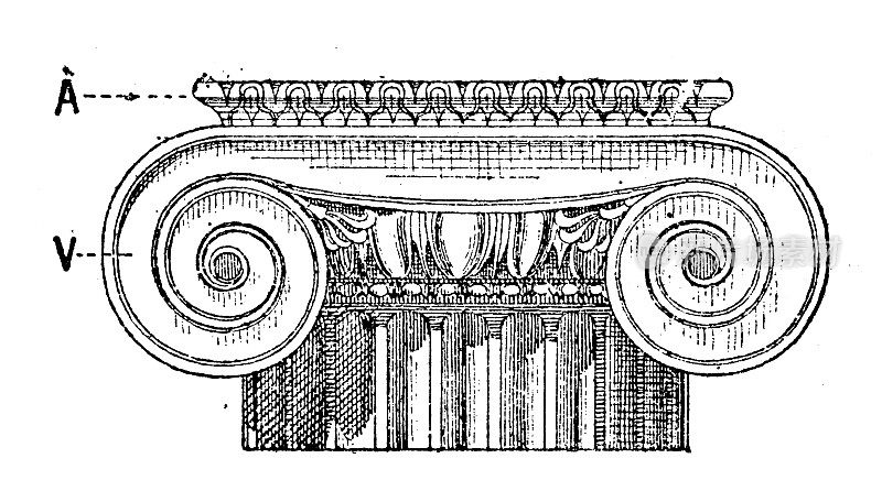 仿古插画:爱奥尼亚柱资本