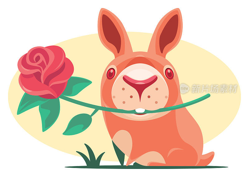 兔子手里拿着花