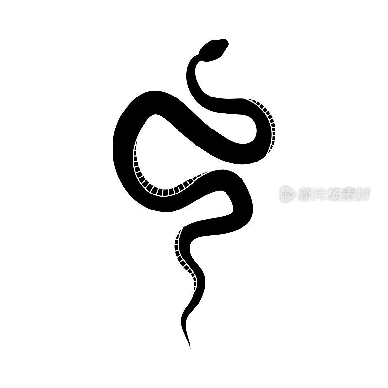 黑色剪影蛇。孤立的爬行动物符号，白色背景上的野生动物图标蛇。自然矢量插图。