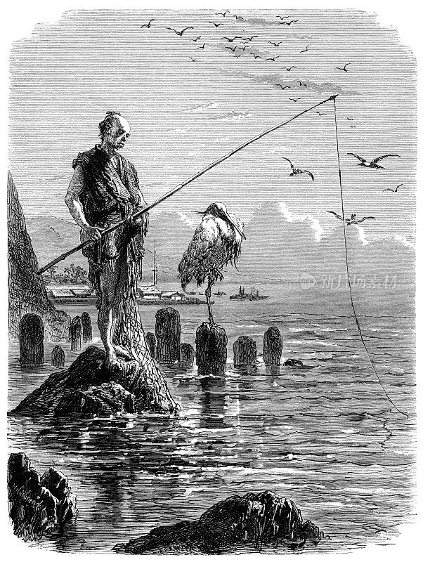 日本渔民在白鹭旁捕鱼的古董插图