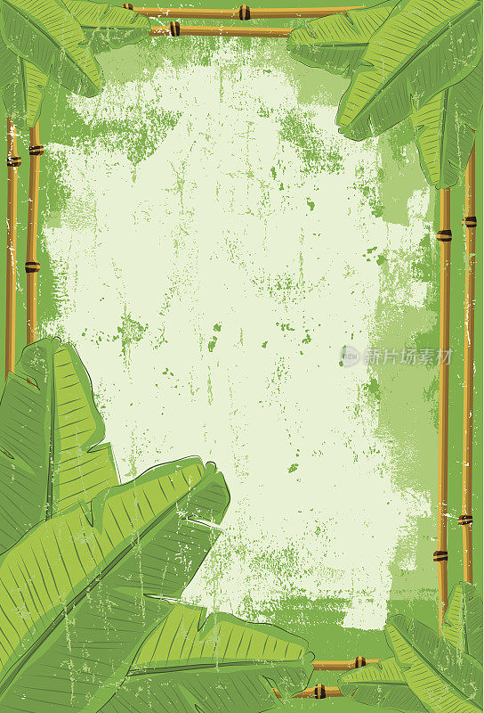 芭蕉叶和竹子的背景