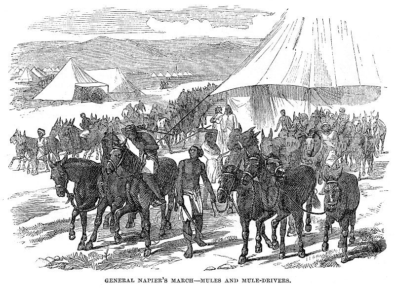 1868年的纳皮尔将军三月版画